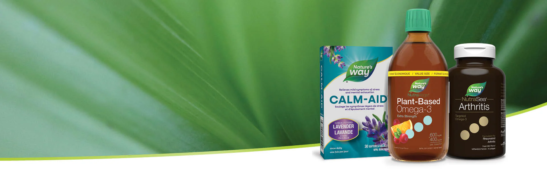 Pure Wellness From Within